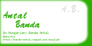 antal banda business card